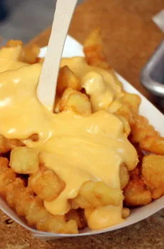 Cheese Fries