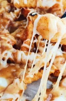 Mozzarella Fries