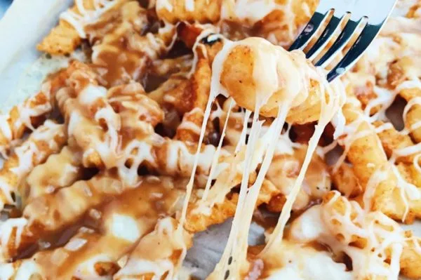 Mozzarella Fries